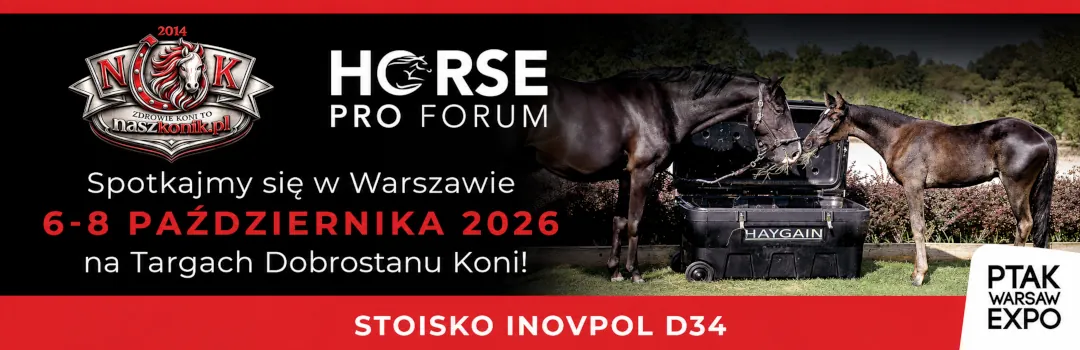 Eksperci od parowania siana dla koni