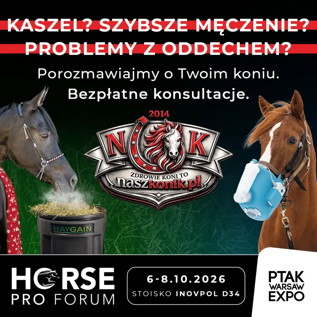 Eksperci od parowania siana i nebulizacji koni