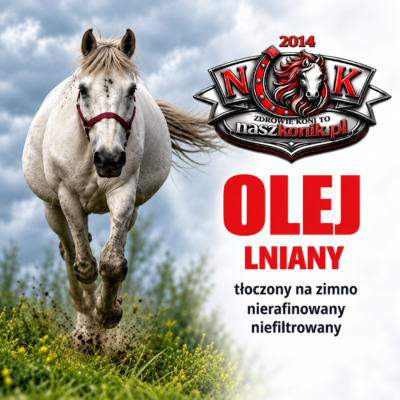 NaszKonik Olej lniany dla konia – naturalne źródło kwasów Omega-3