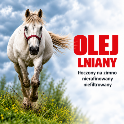 NaszKonik Olej lniany dla konia – naturalne źródło kwasów Omega-3