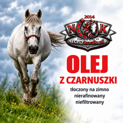NaszKonik Olej z czarnuszki dla konia – naturalny dodatek do codziennej diety 250 ml