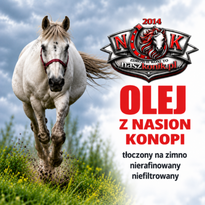 NaszKonik Olej konopny dla konia, Olej z nasion konopi dla konia – naturalne źródło wartościowych kwasów tłuszczowych 250 ml