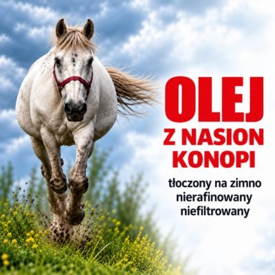 NaszKonik Olej z nasion konopi dla konia, Olej konopny dla konia – naturalne źródło wartościowych kwasów tłuszczowych 250 ml