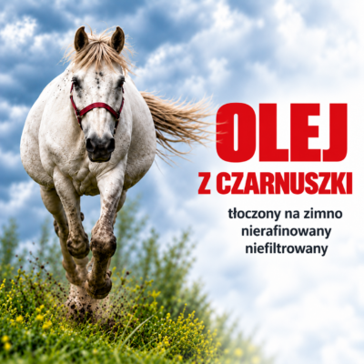 NaszKonik Olej z czarnuszki dla konia – naturalny dodatek do codziennej diety 250 ml